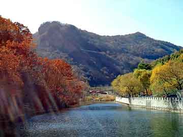 澳门天天免费精准大全，天涯旅游